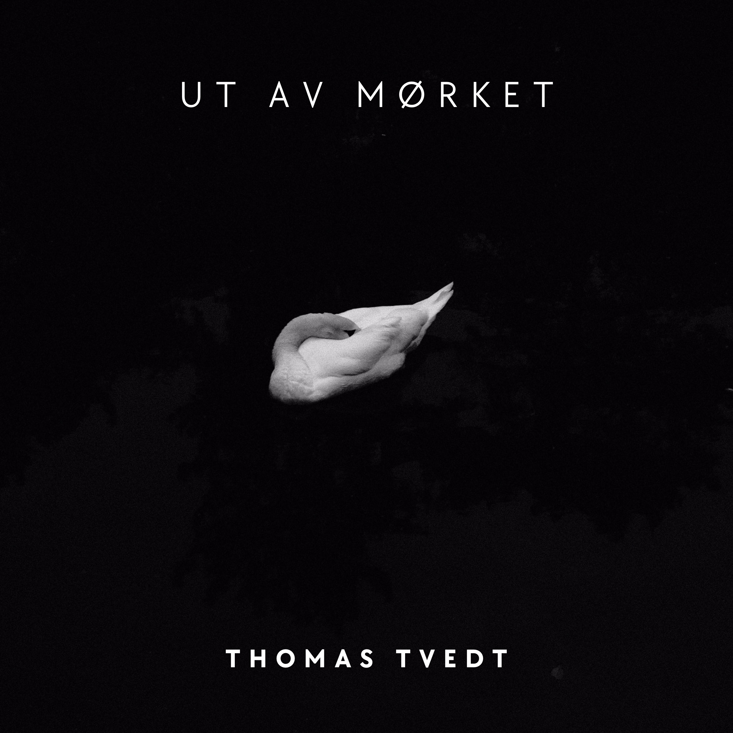 Cover for «Ut av mørket»: en hvit svane som hviler med hodet under vingen, opplyst mot et helt mørkt bakteppe.